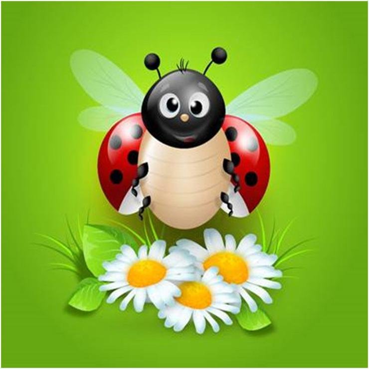 Full Round Diamond Painting Ladybug (30*30cm)