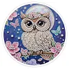 DIY Pearl Painting Art Kit,Round Dust-proof Outer Frame with Tassel Hanging Kit
