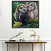 >SALE<48x48cm 11CT Cross Stitch Kit Stamped Canvas Needlework Owl Birds (CXB158)