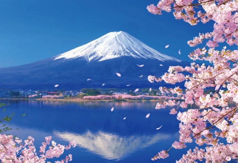 

Lake kawaguchi Cherry Blossom – Paint By Numbers - 40*50CM, 501 Original
