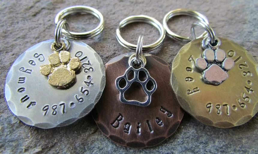 What to Put on a Dog ID Tag to Keep Your Pet Safe: Must-Have Info