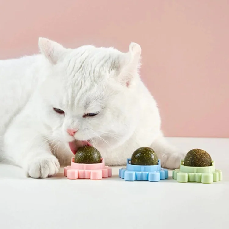 Boules d'herbe à chat (Achetez-en 2 et obtenez-en 1 gratuitement)