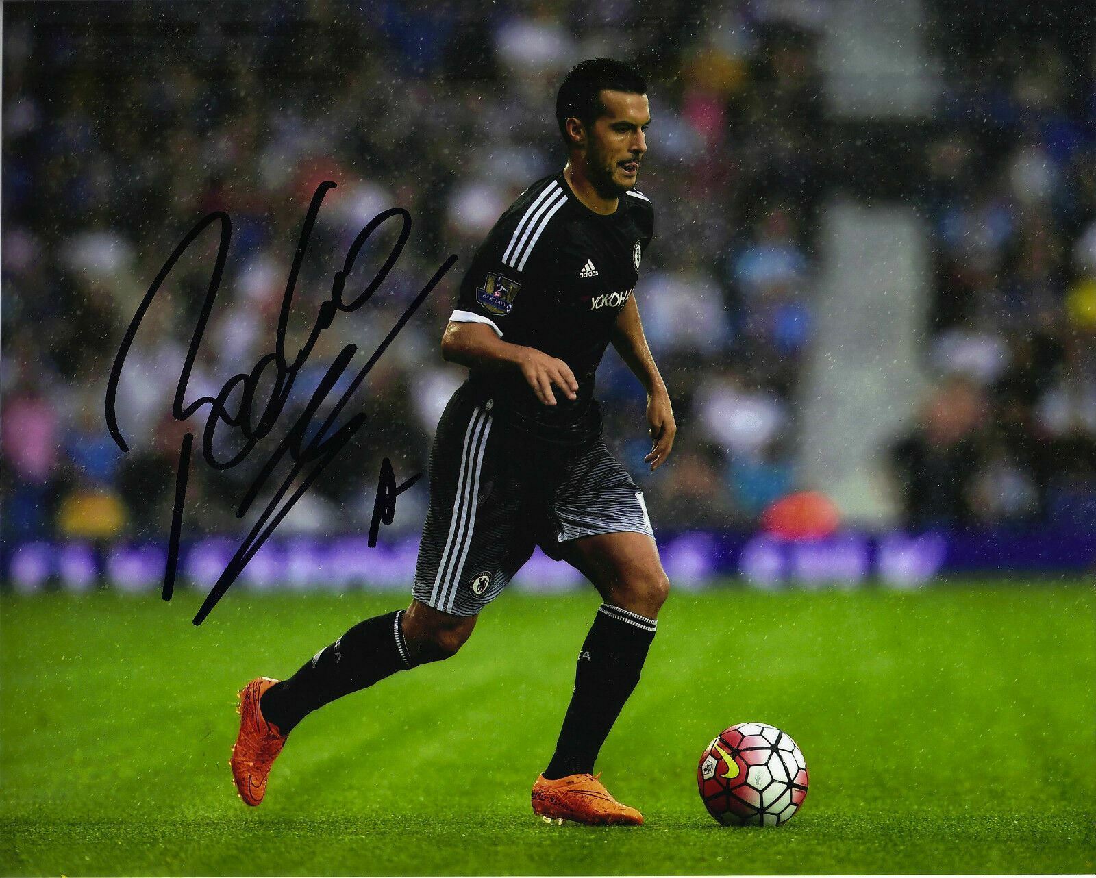 Pedro Signed 10X8 Photo Poster painting Chelsea F.C. GENUINE Autograph AFTAL COA (1253)