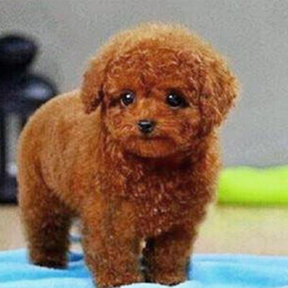 realistic teddy dog