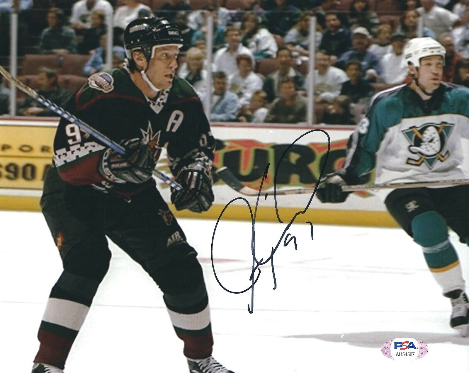 Jeremy Roenick Signed San Jose Sharks 8x10 Photo Poster painting PSA AH54587