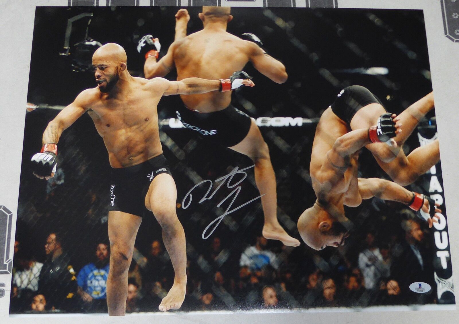 Demetrious Johnson Signed UFC 16x20 Photo Poster painting BAS Beckett COA 197 191 Picture Auto'd