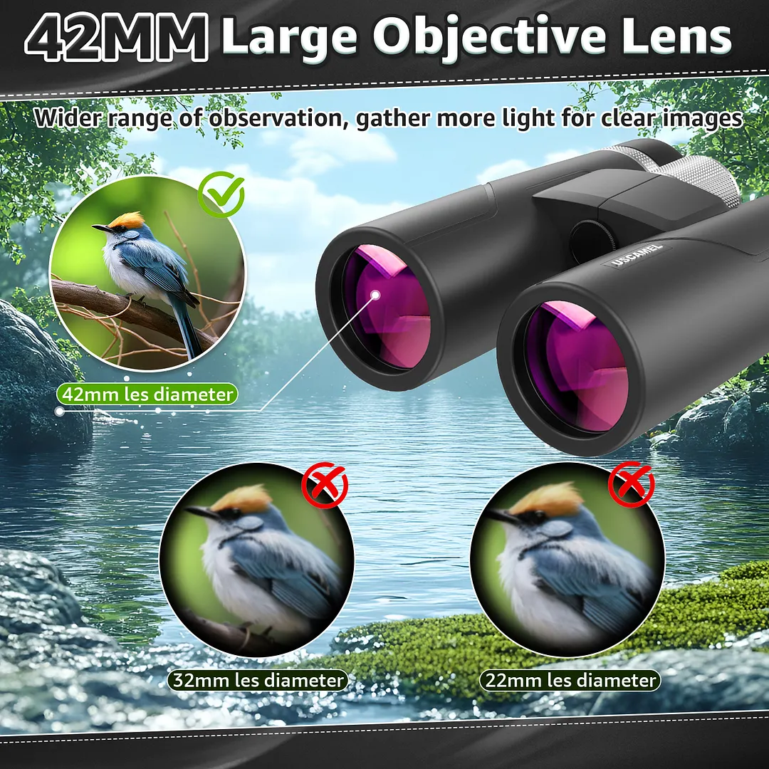  BEBANG 10x42 HD Binoculars for Adults, Large View Binoculars with Clear Low Light Vision,Binoculars for Bird Watching Travel