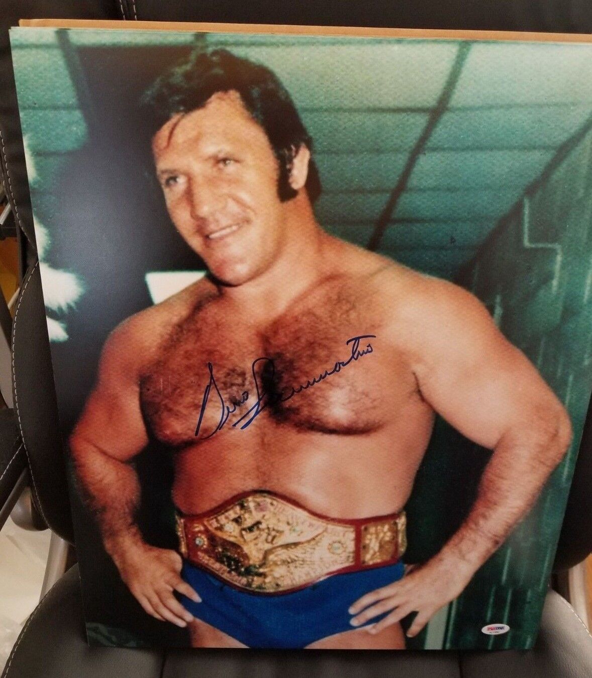 BRUNO SAMMARTINO WWF WWE HOF LEGEND SIGNED AUTOGRAPH 16X20 Photo Poster painting W/ PSA COA