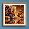 Tiger und Schmetterling - Rundbohrer Diamantmalerei - 30*30cm