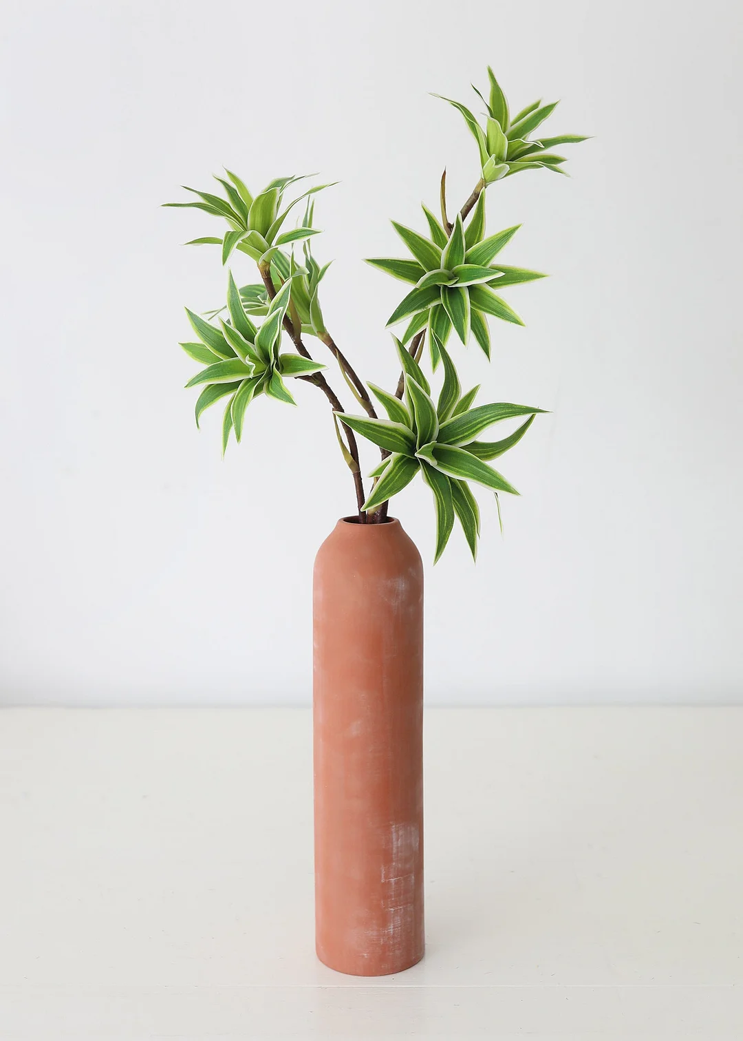 Variegated Fake Dracaena Succulent - 30"