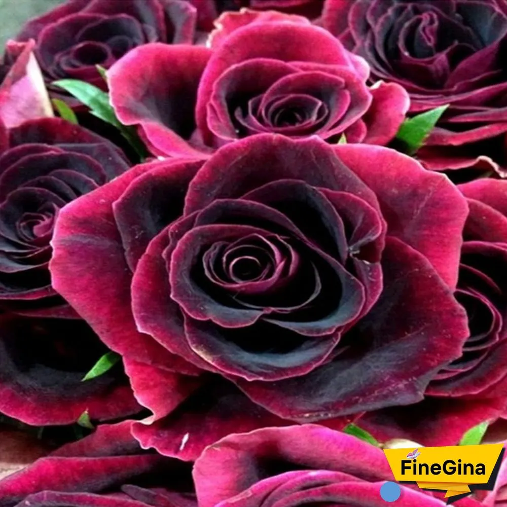 Red Rose DIY Large Size Diamond Painting Kit Full Drill Round Cross Stitch Embroidery
