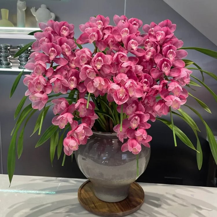 👑 The Queen of Orchids &mdash; Long-Lasting Cymbidium Bulbs