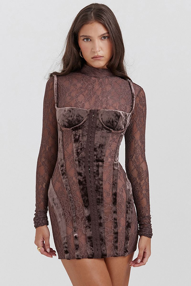 Velvet Patchwork Embroidery See Through Long Sleeve Bodycon Mini Dresses-Brown [Pre Order]