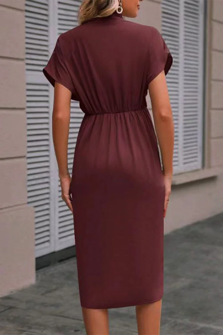 Elegant Solid Fold O Neck A Line Dresses