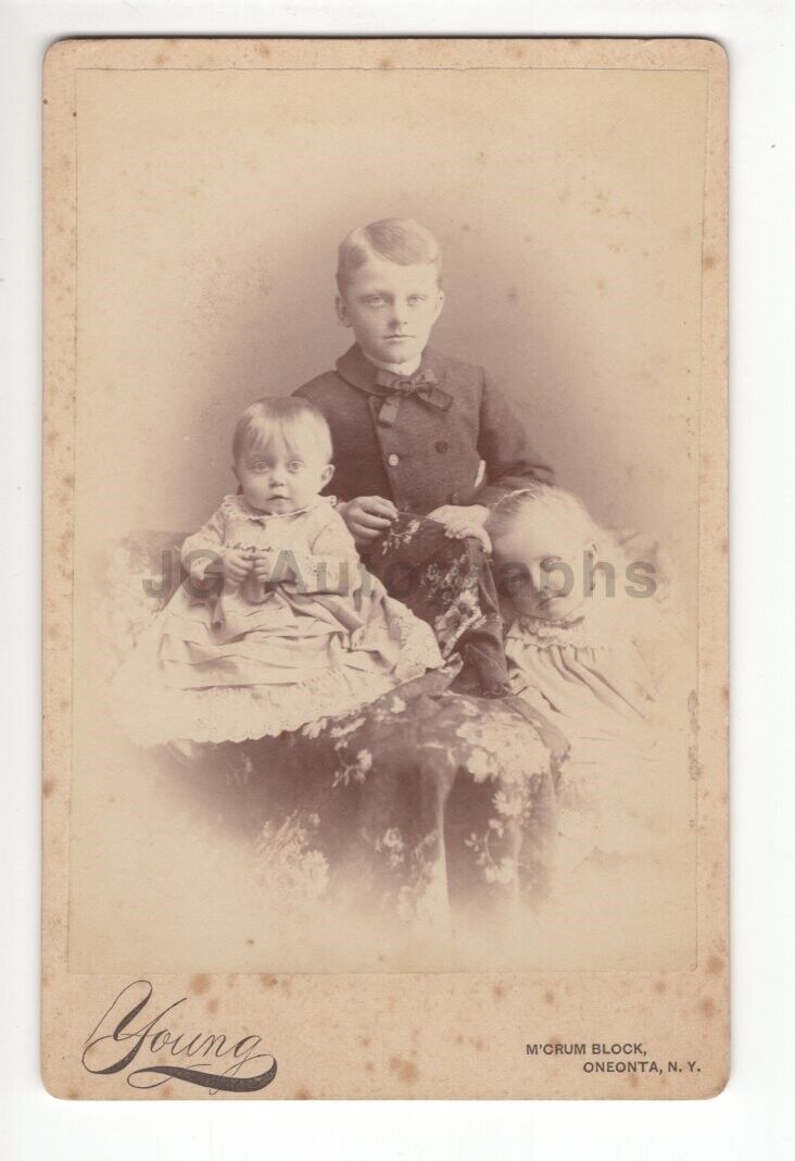 19th Century American Family - Cabinet Card Photo Poster painting - Oneonta, New York