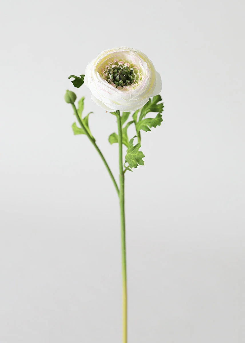 Silk Ranunculus in Cream - 13"