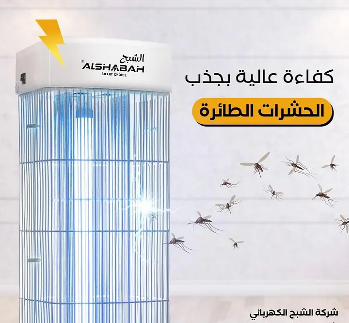 شبكات الحماية في صاعق الشبح