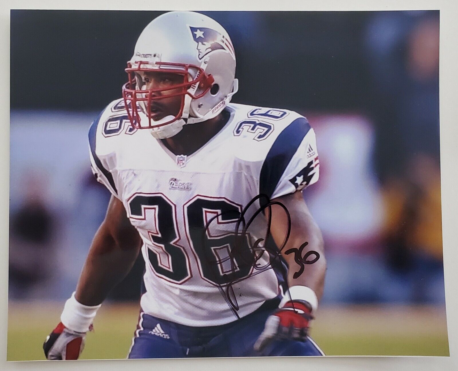 Lawyer Milloy Signed 8x10 Photo Poster painting New England Patriots NFL Super Bowl LEGEND RAD