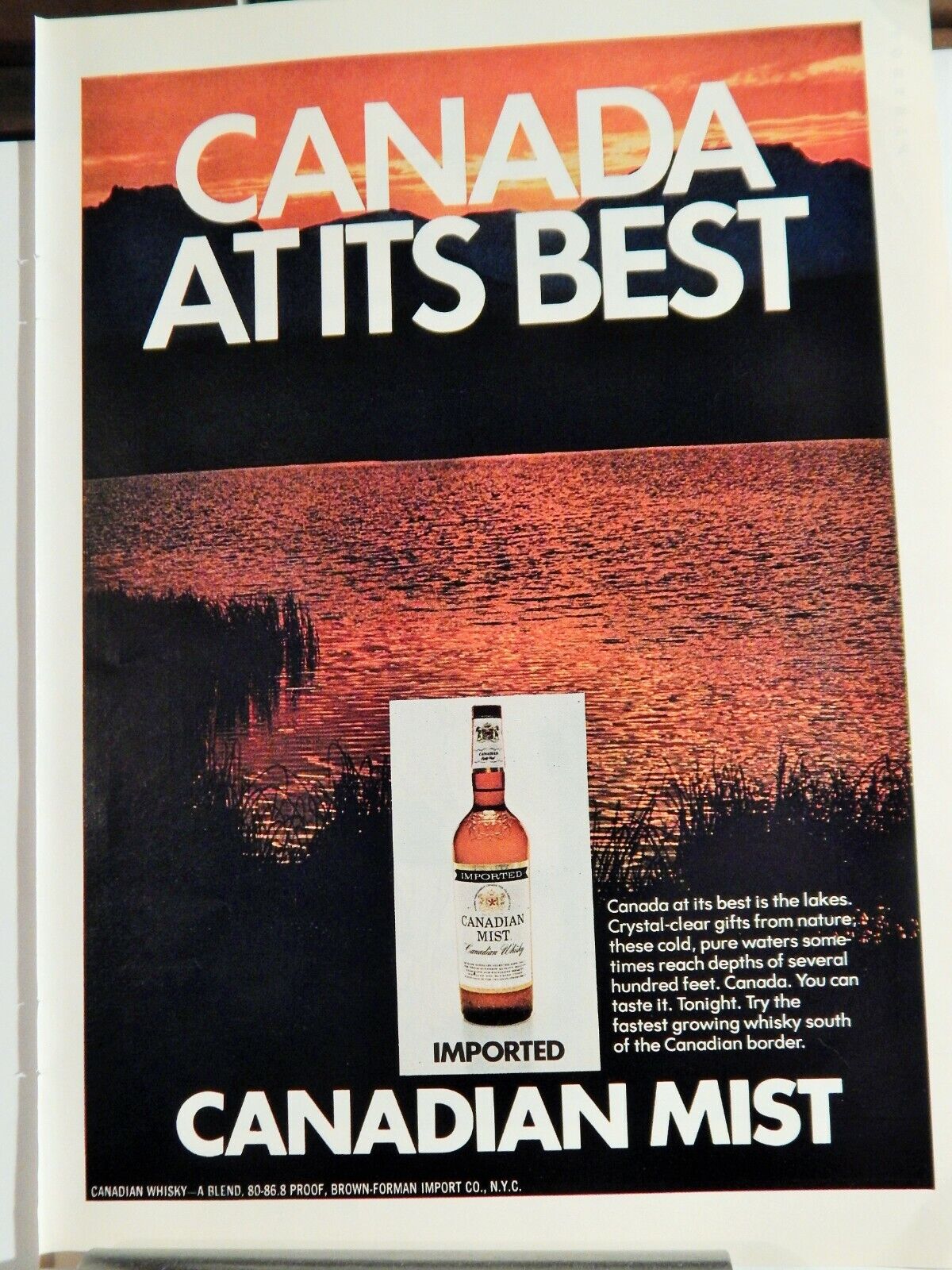 CANADIAN MIST WHISKEY 1971 VINTAGE Photo Poster painting AD, RARE SOUGHT EPHEMERA