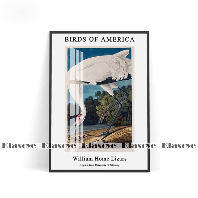 Hooping Crane Bird America Retro Canvas Painting John James Audubon Prints Art Poster Living Room Home Decor Wall Picture Gift