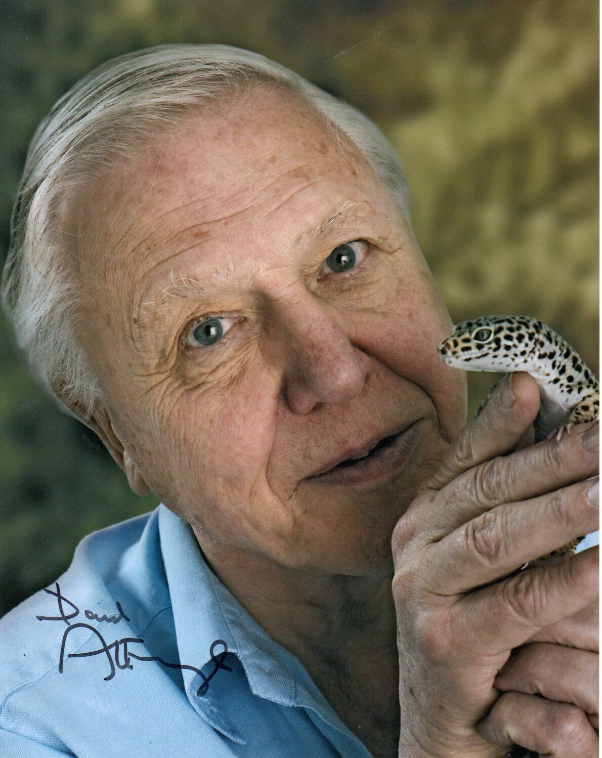 David Attenborough HAND Signed 10x8' Photo Poster paintinggraph Naturalist Broadcaster Autograph