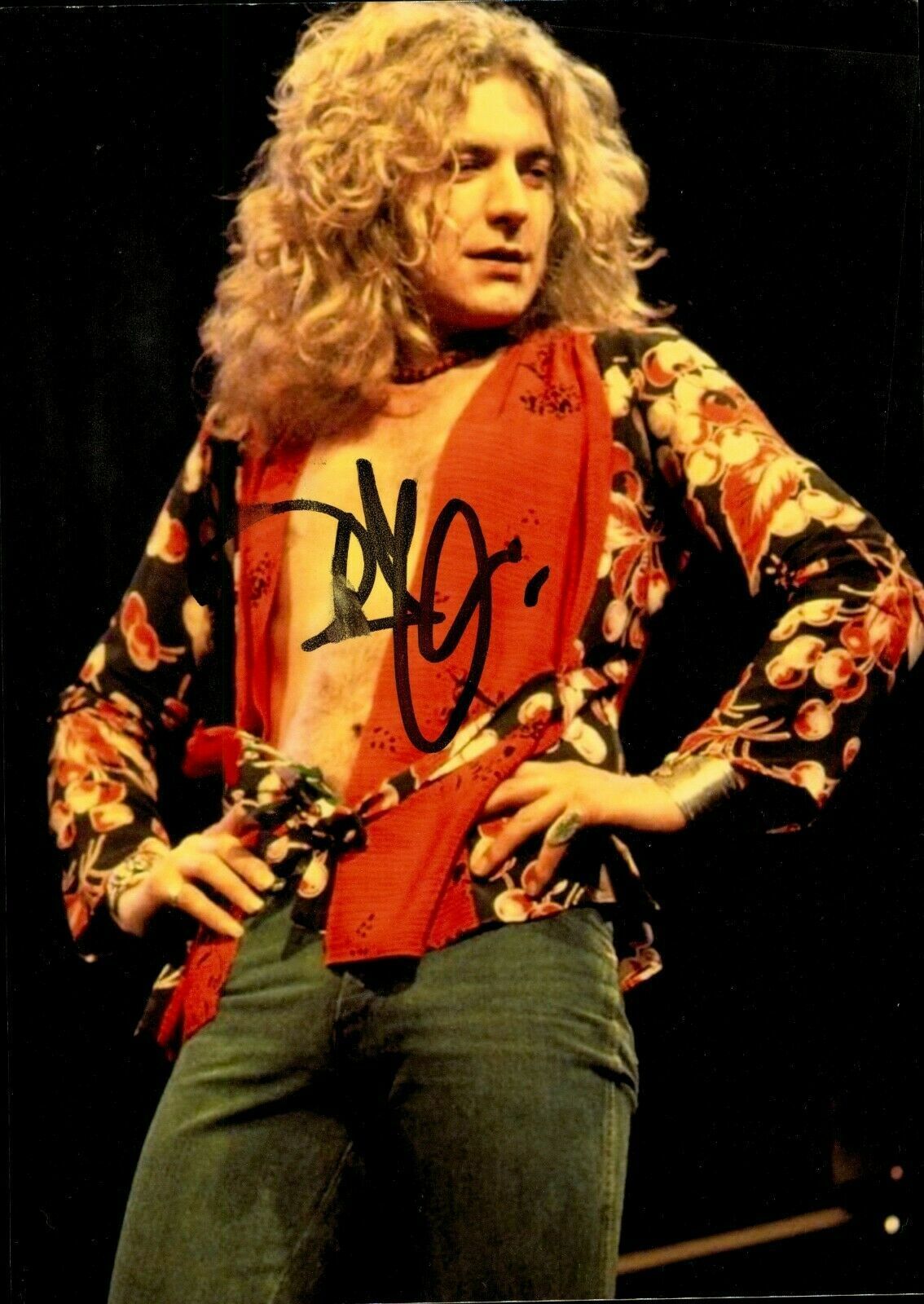 LED ZEPPELIN RARE SIGNED AUTOGRAPH 8.5X11 Photo Poster painting REPRINT JIMMY PAGE ROBERT PLANT