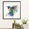 Colorful Bird-Paint By Numbers Acrylic Painting 40*40CM
