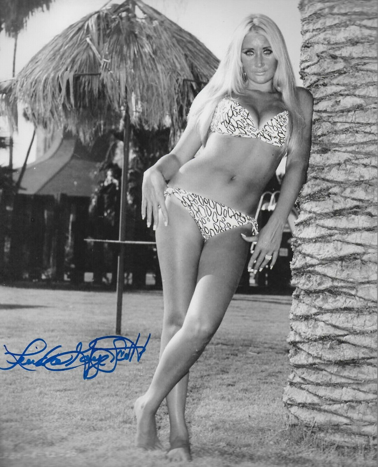 Linda Gaye Scott Original Autographed 8X10 Photo Poster painting #8