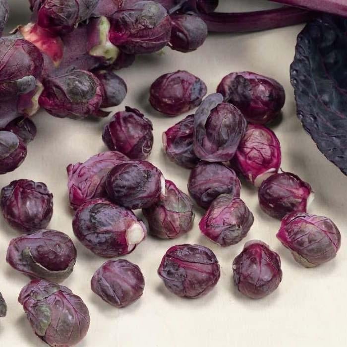 Brussels Sprouts Redarling F1 Jonyparkseed®