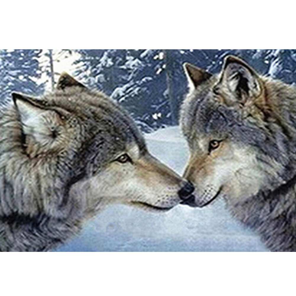 

40*50CM - Pial Two Wolves - Round Drill Diamond Painting, 501 Original