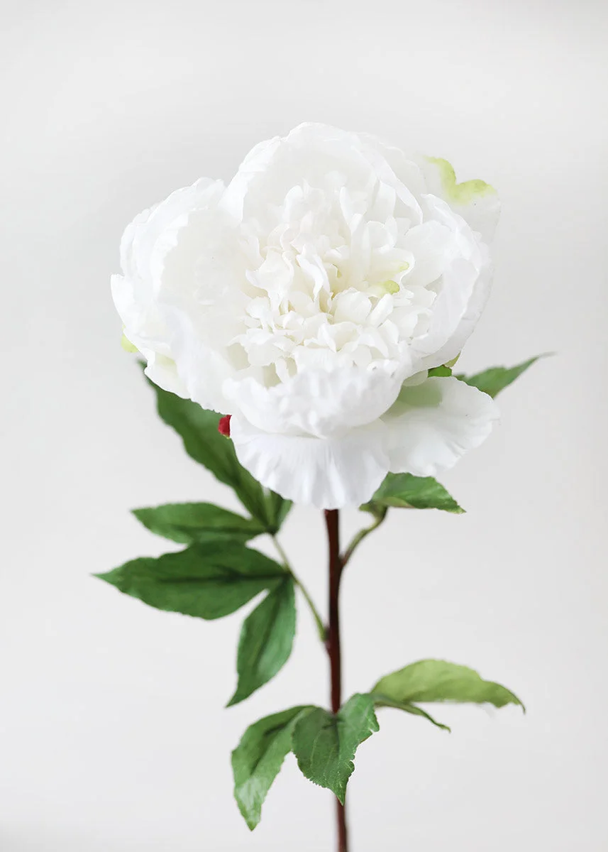 Natural Touch Peony in Cream White - 30"