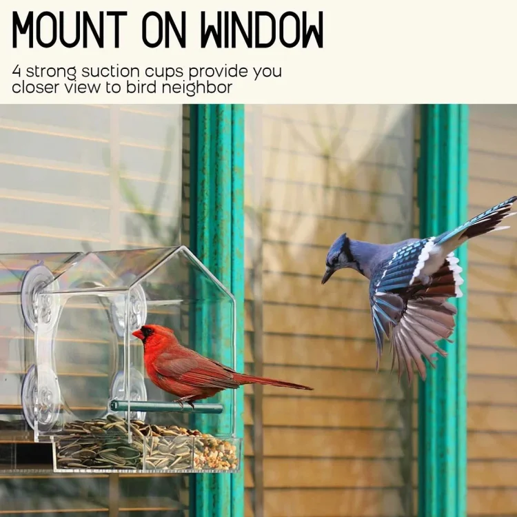 🔥2023 Summer New Arrival🔥-Window Bird Feeder for Outside
