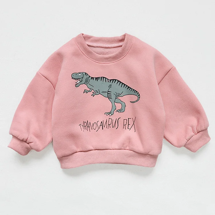 Toddler Dinosaur Fleece Lined Sweatshirt