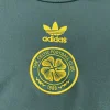 24/25 Celtic Special Edition Soccer Jersey