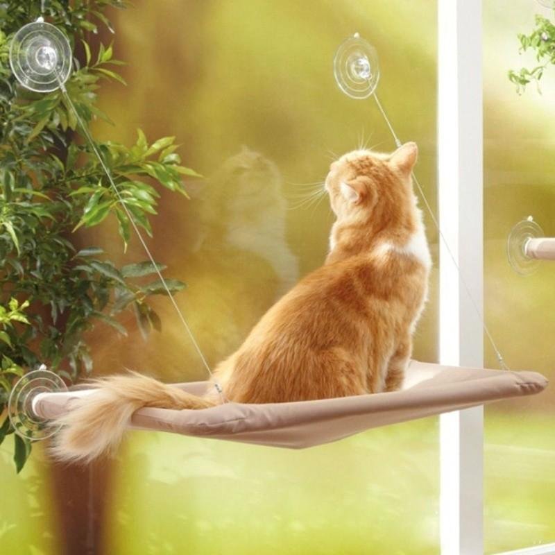Cute Cat Window Hammock