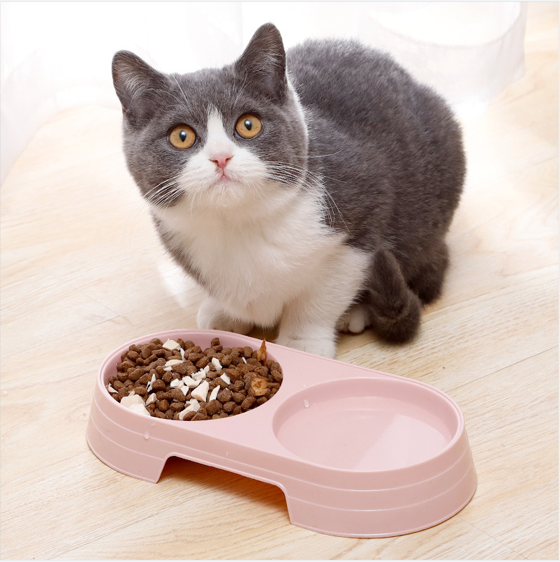 Plastic Pet Bowl Easy to Clean Double-bowl