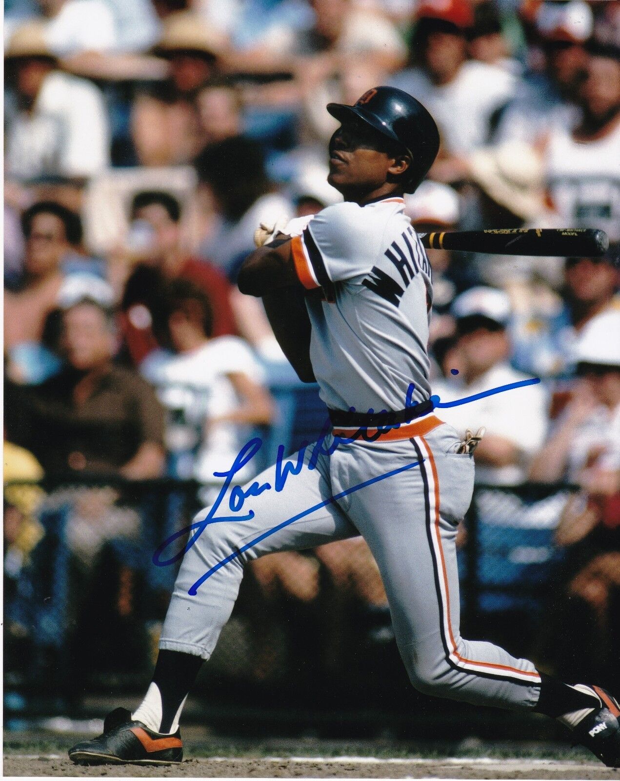 LOU WHITAKER DETROIT TIGERS ACTION SIGNED 8x10