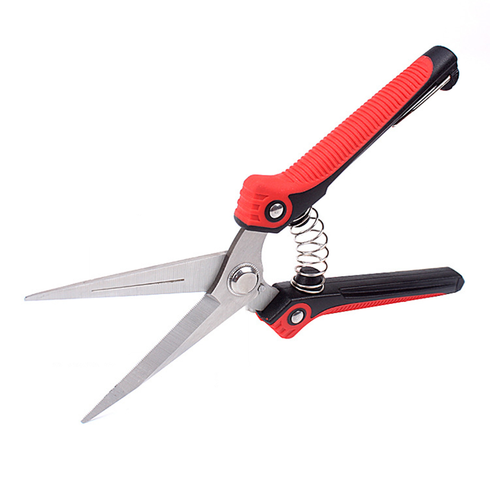 

Gardening Plant Shears Scissor Fruit Tree Flowers Branches Trimmer Tools, 501 Original