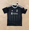 Joyfball 2025/2026 Liverpool Goalkeeper Soccer Jersey 1:1 Thai Quality