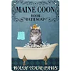 Cat Shower - Vintage Metal Signs - 30*40cm