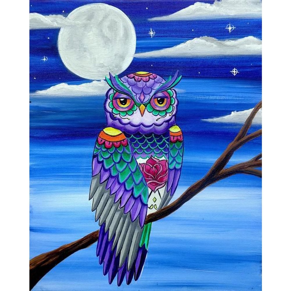 Owl - Painting By Numbers