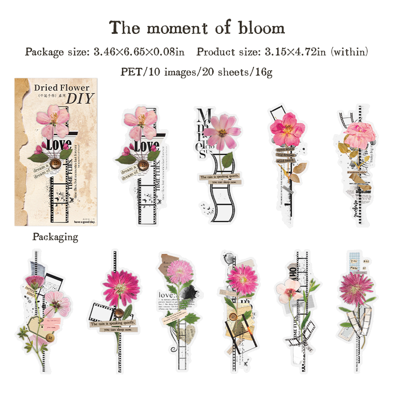 Journalsay Dried Flower Handmade Series Vintage Floral Landscaping PET Sticker