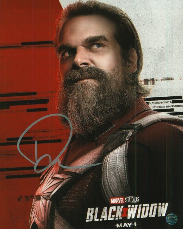 DAVID HARBOUR Autographed Original 8x10 Photo Poster painting LOA TTM