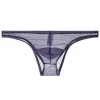 Men's Transparent Ultra-Thin Mesh Low-Waist Sexy Briefs