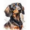 Dachshund Dog-11CT Stamped Cross Stitch 40*53cm tapestrymarket