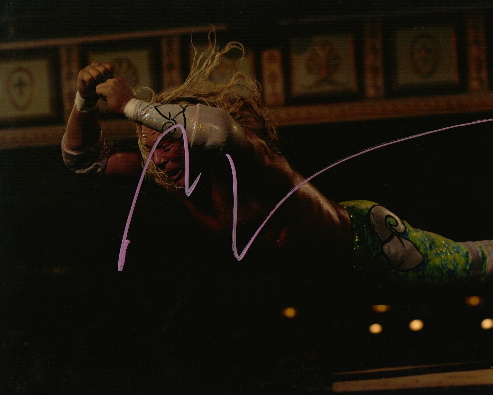 Mickey Rourke Genuine Hand Signed 'THE WRESTLER' 10x8 Photo Poster painting (5658)