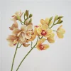 Real Touch Stem Cymbidium Orchid Artificial Flower