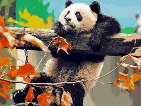 

Giant Panda – Paint By Numbers - 40*50CM, 501 Original