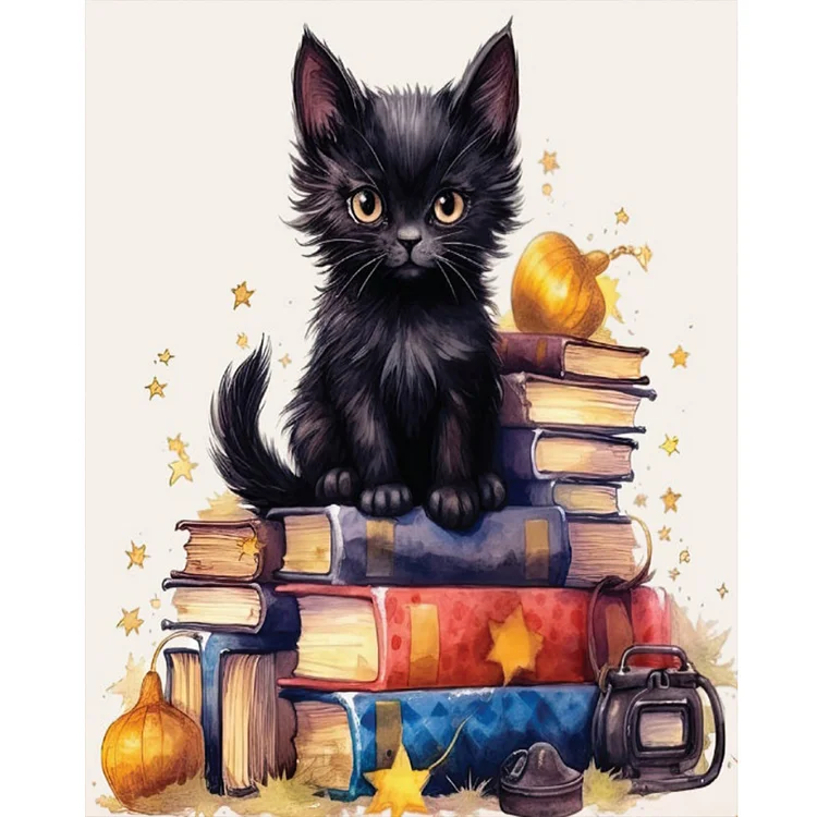 Black Cat On Book 40*50CM (Canvas) Full Round Drill Diamond Painting gbfke