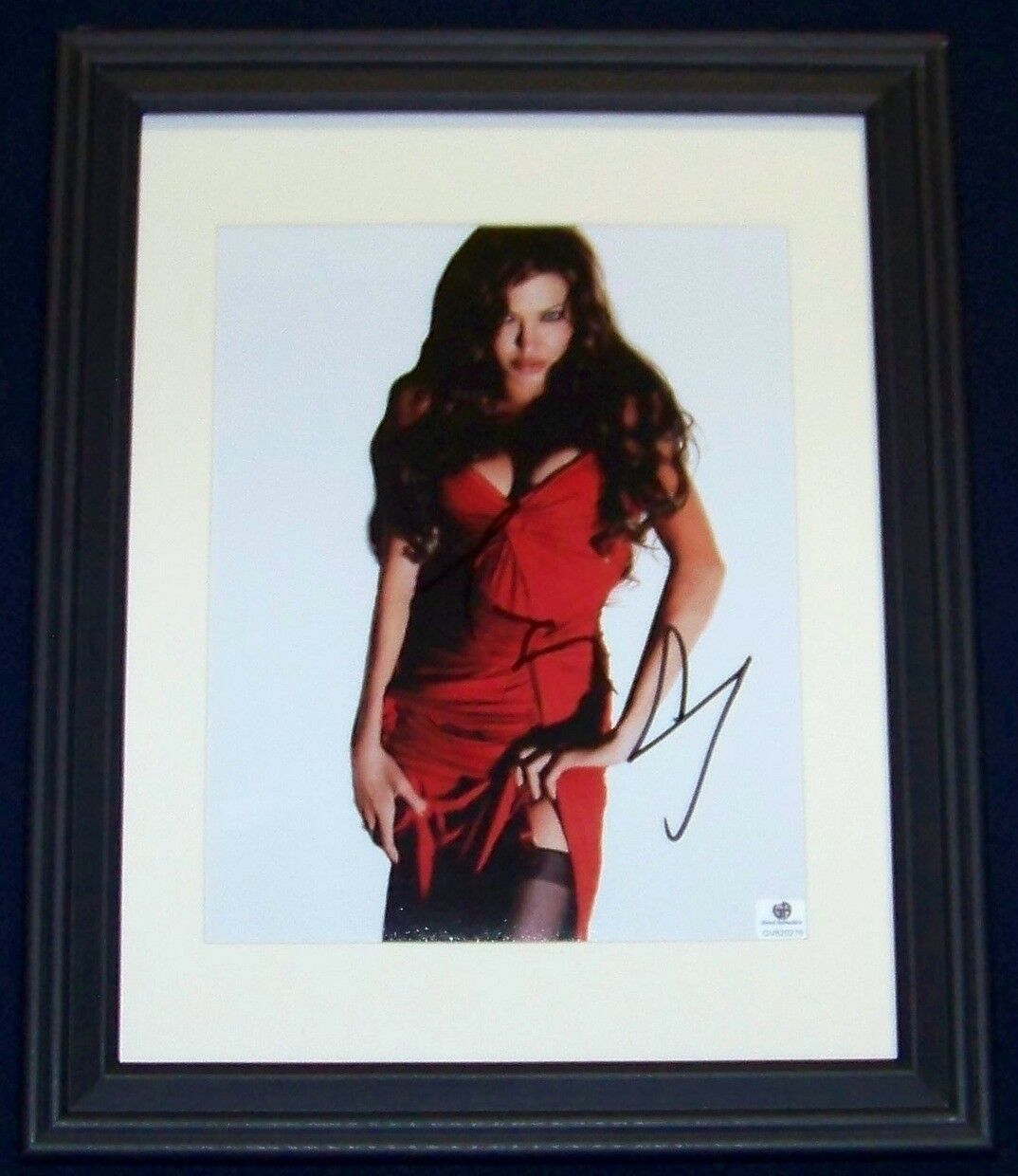 CLEARANCE SALE Angelina Jolie Signed Autographed Framed 8x10 Photo Poster painting GA GV GAI COA